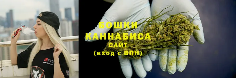 Каннабис OG Kush  Пушкино 